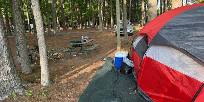 Camper submitted image from Chesapeake Campground