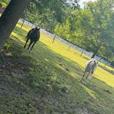 Review photo of Chesapeake Campground by Megan H., June 16, 2026