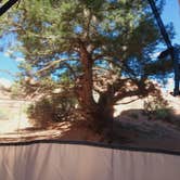 Review photo of Chesler Park 2 (CP2) campsite in The Needles District — Canyonlands National Park by ZachTruthNow , July 15, 2024