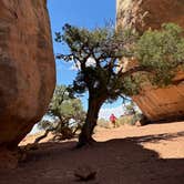 Review photo of Chesler Park 2 (CP2) campsite in The Needles District — Canyonlands National Park by ZachTruthNow , July 15, 2024