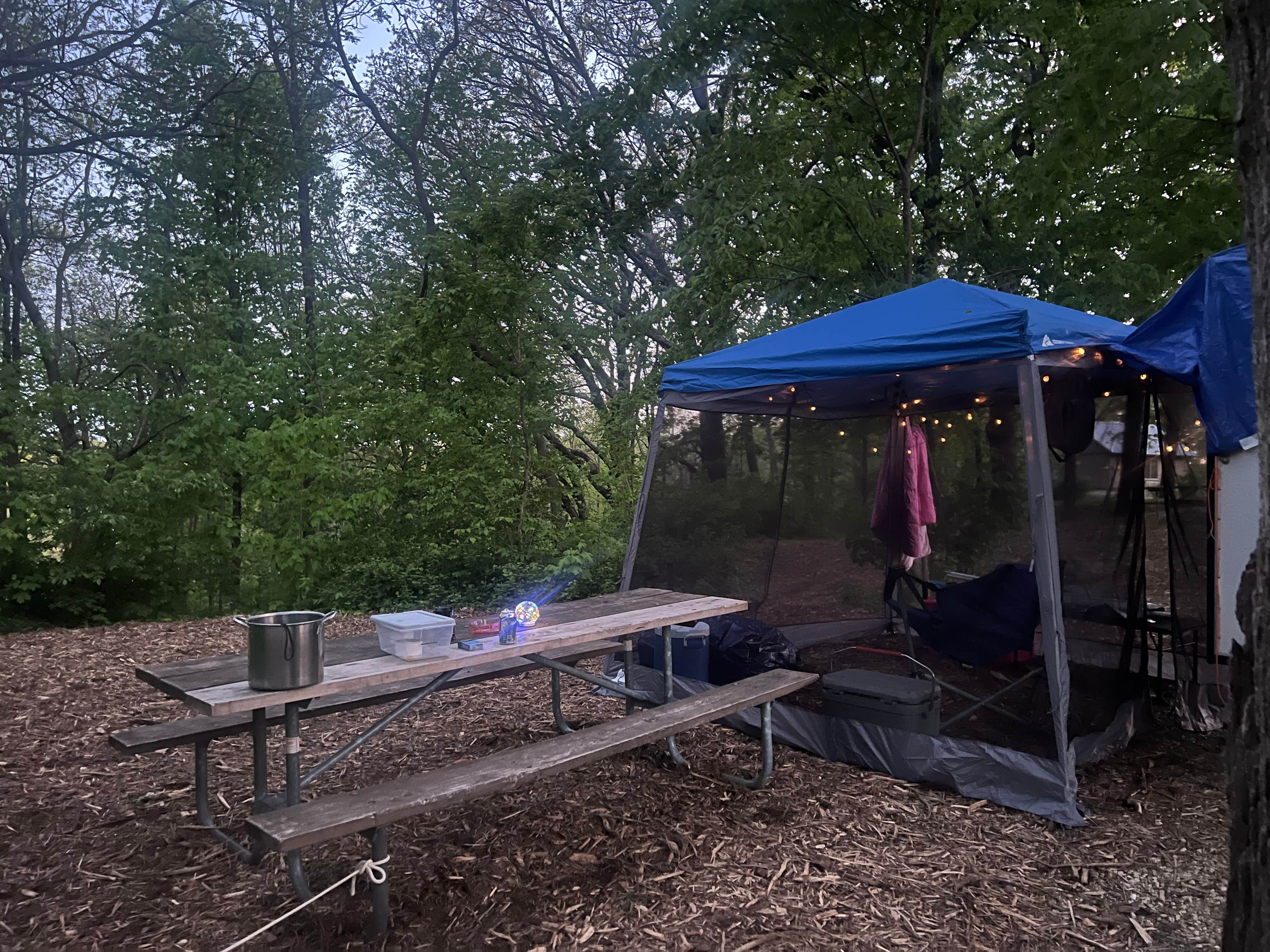 Camper submitted image from Chester Woods Patk - 2