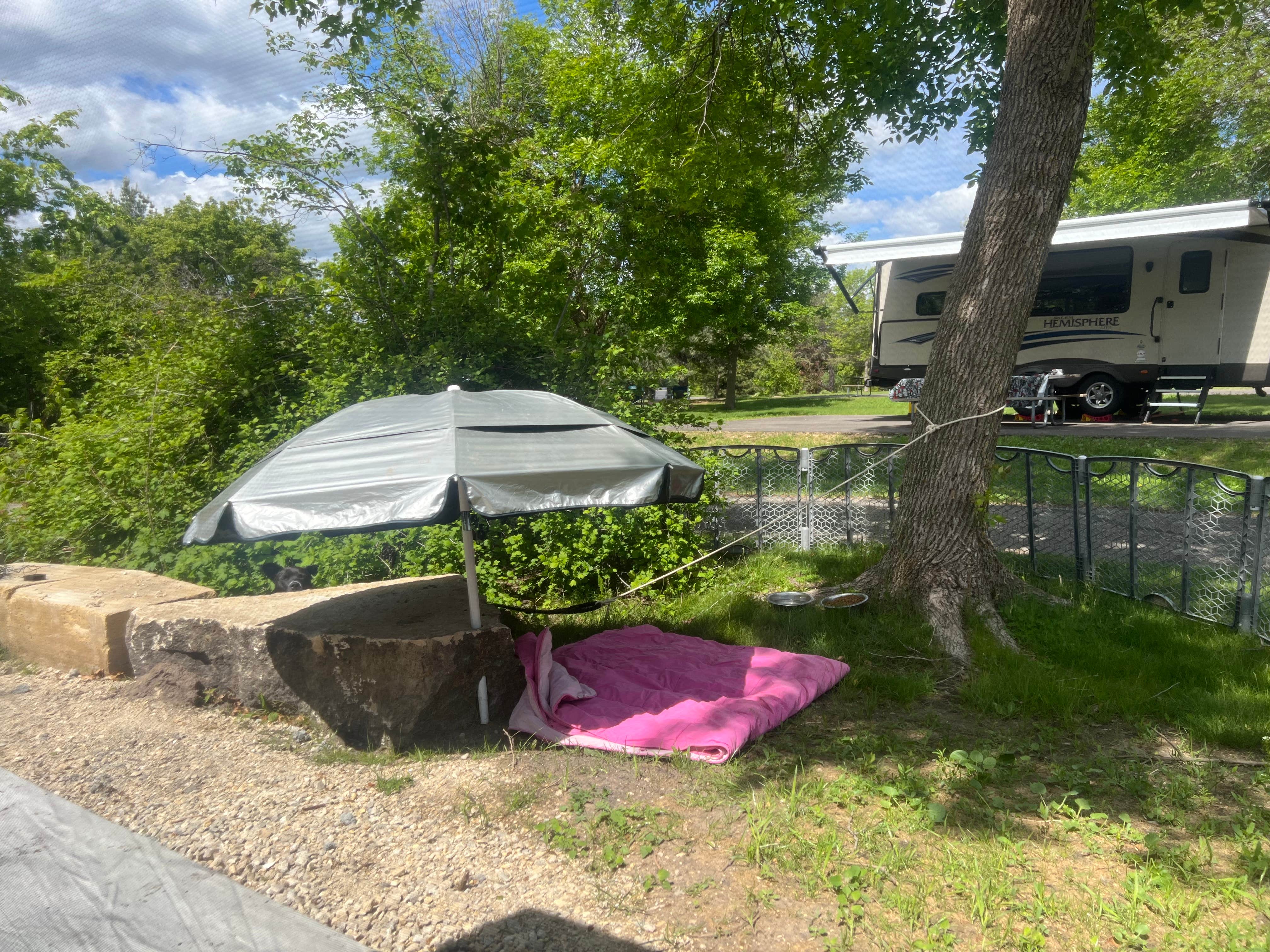 Camping near Tilly's American Travelers RV Resort: Chester Woods Patk, Marion, Minnesota