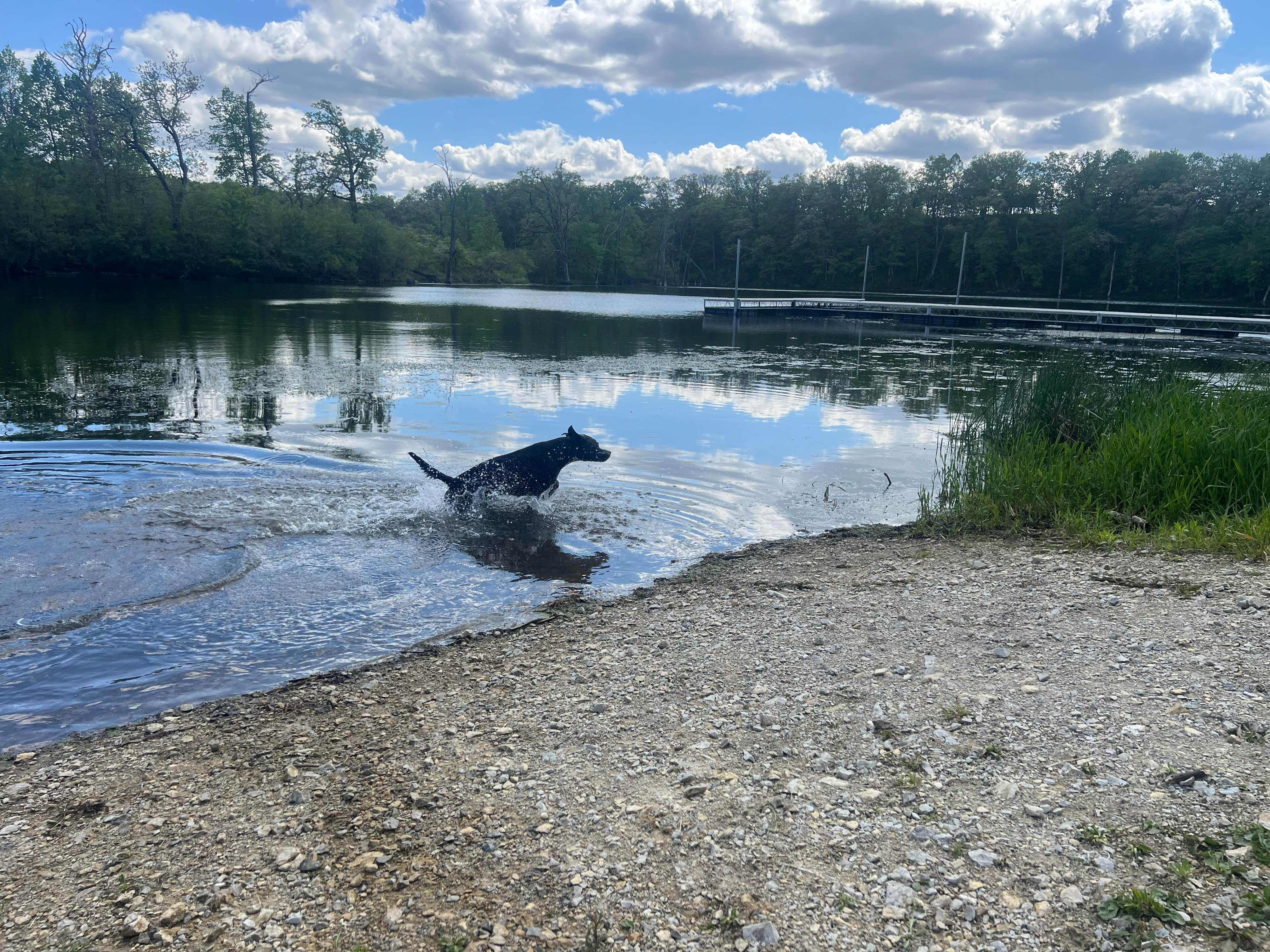 Camper submitted image from Chester Woods Patk - 3