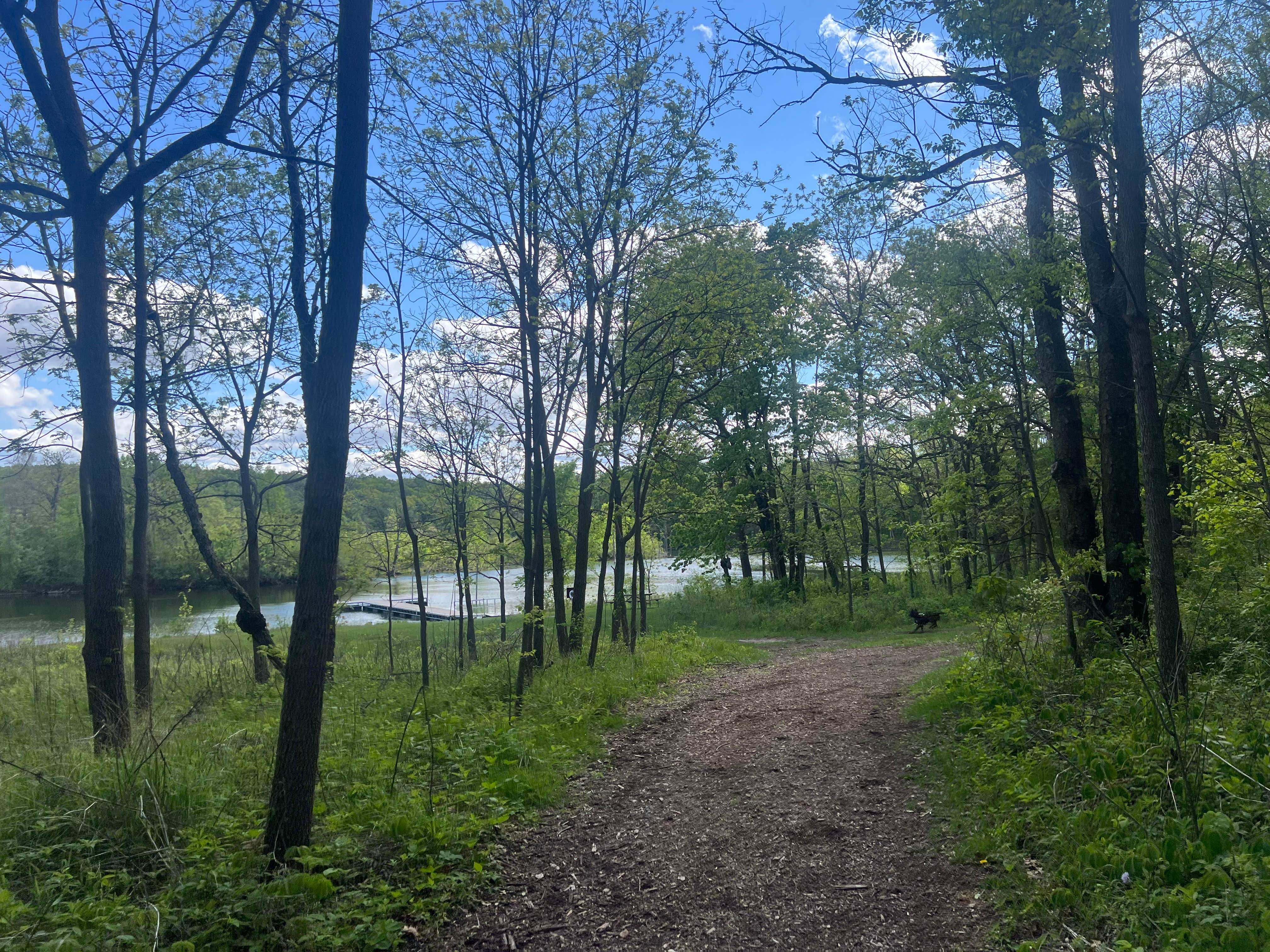 Camper submitted image from Chester Woods Patk - 5