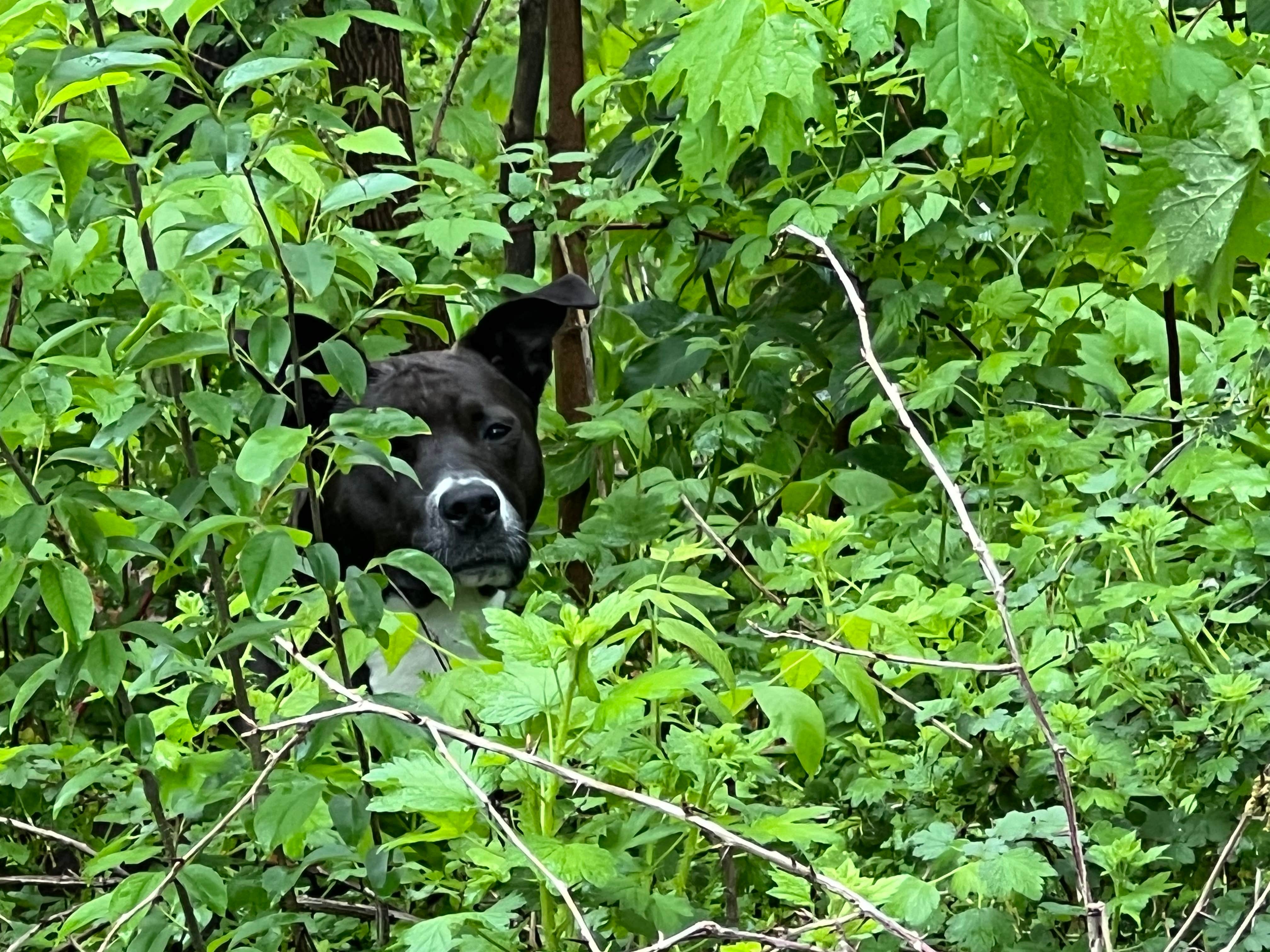Camper-submitted photo at Chester Woods Patk near Marion, MN