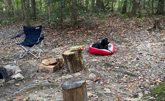 Tracy Z.'s photo of camping with pets at Chestnut Creek Campground near Hernshaw, WV