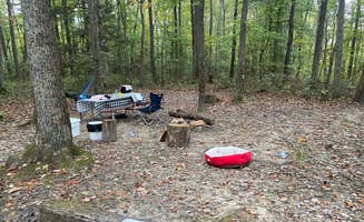 Tracy Z.'s photo of tent camping at Chestnut Creek Campground near Summersville, WV