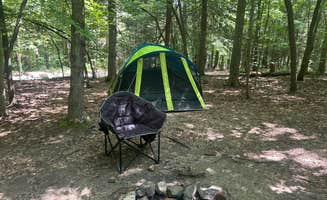 Sienna L.'s photo at Chestnut Creek Campground in West Virginia