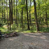 Review photo of Chestnut Ridge Regional Park by corda B., September 7, 2024