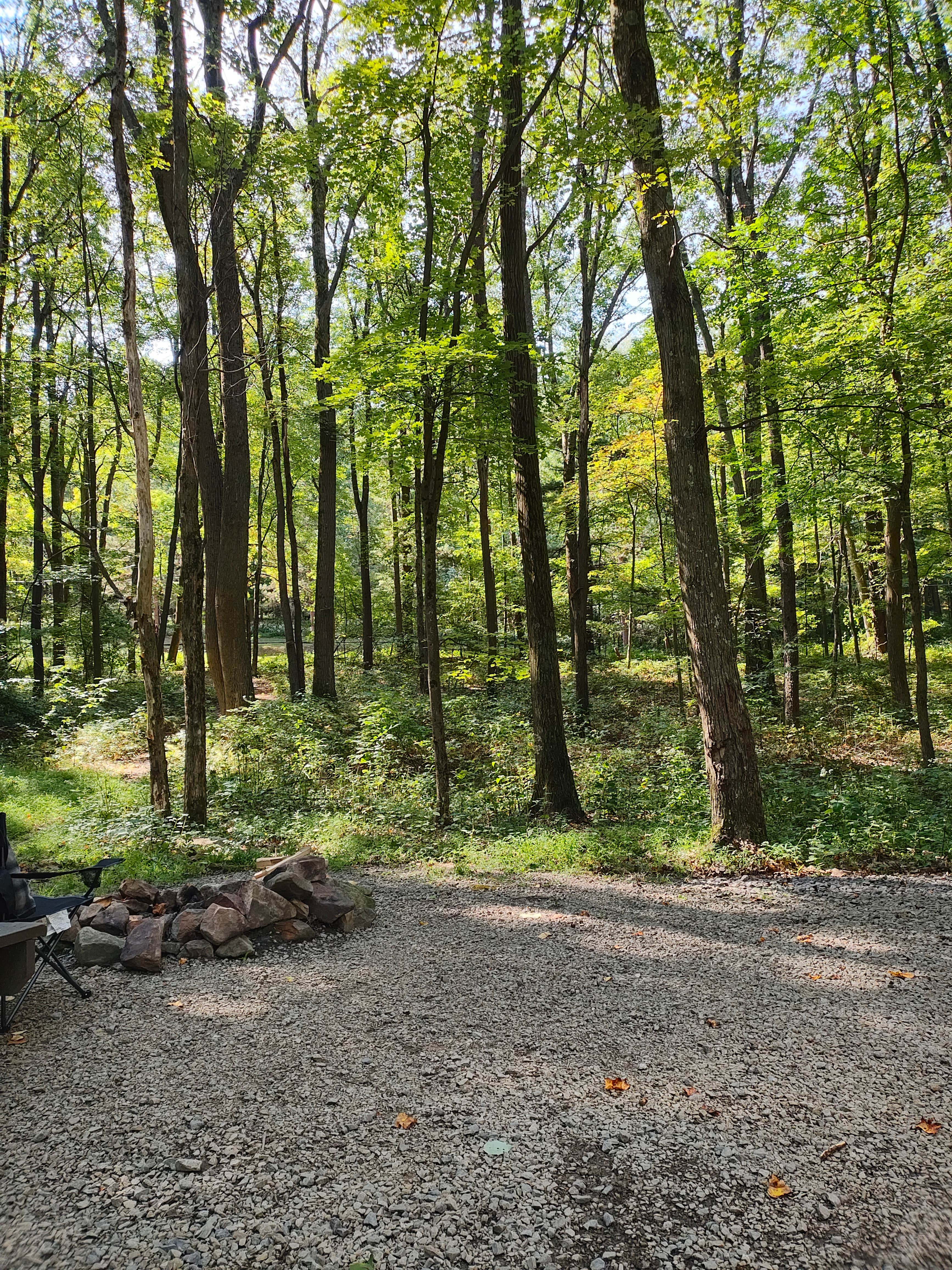 Camper submitted image from Chestnut Ridge Regional Park - 1