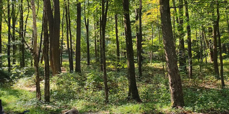 Camper submitted image from Chestnut Ridge Regional Park
