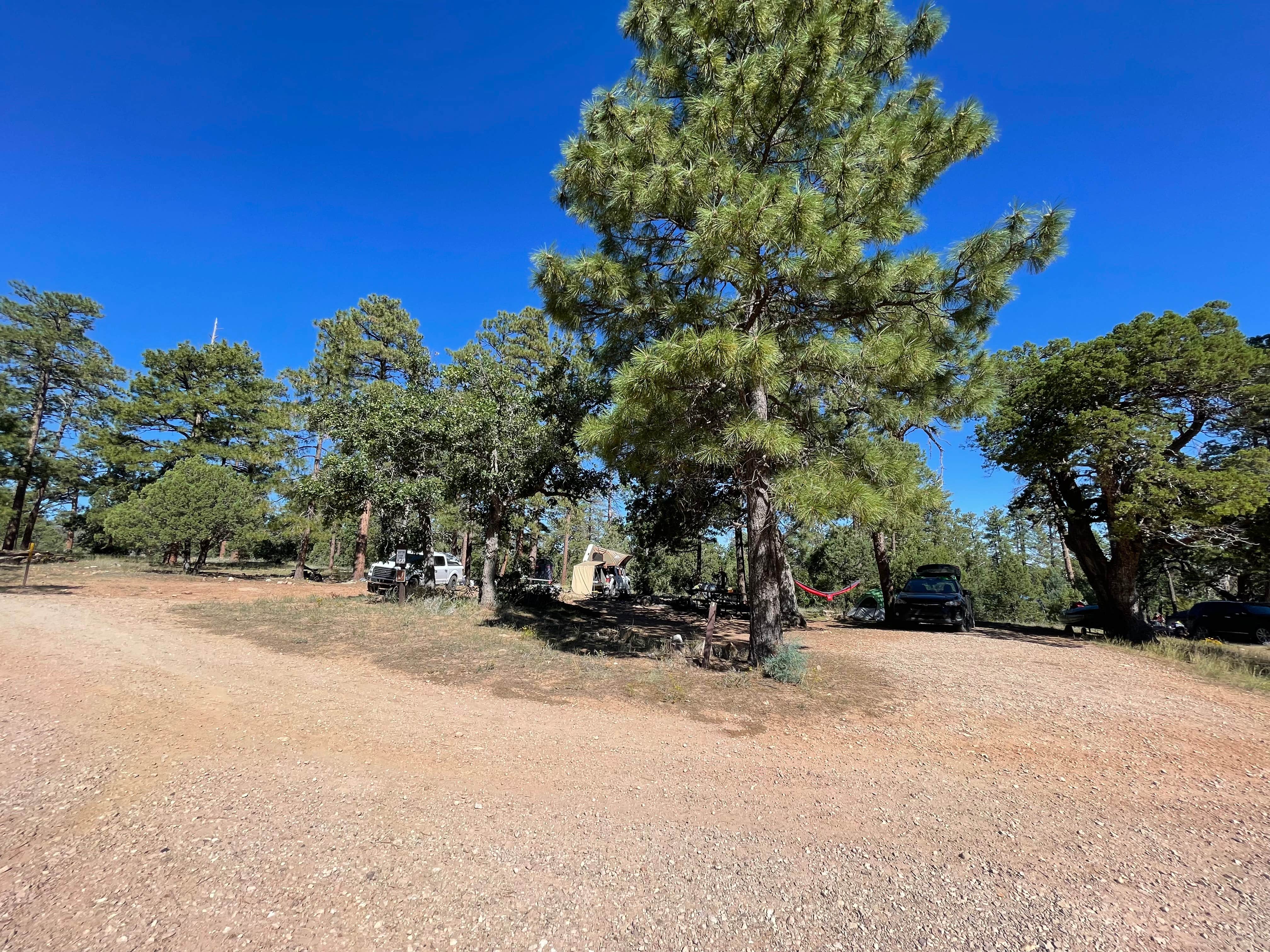 Camper submitted image from Chevelon Canyon Lake Campground - 3