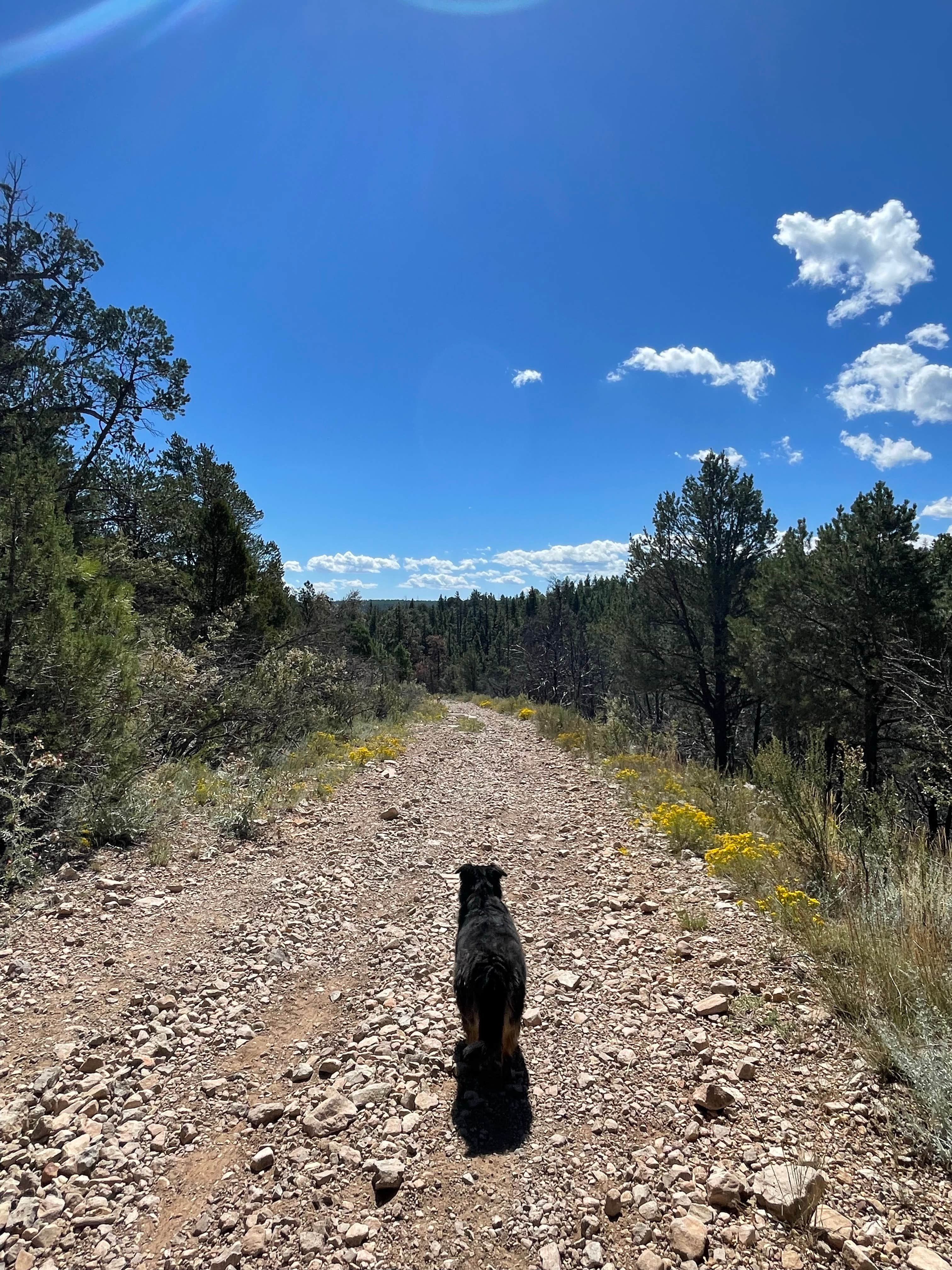 Camper-submitted photo at Chevelon Canyon Lake Campground near Forest Lakes, AZ