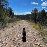 Review photo of Chevelon Canyon Lake Campground by Beth G., September 18, 2023