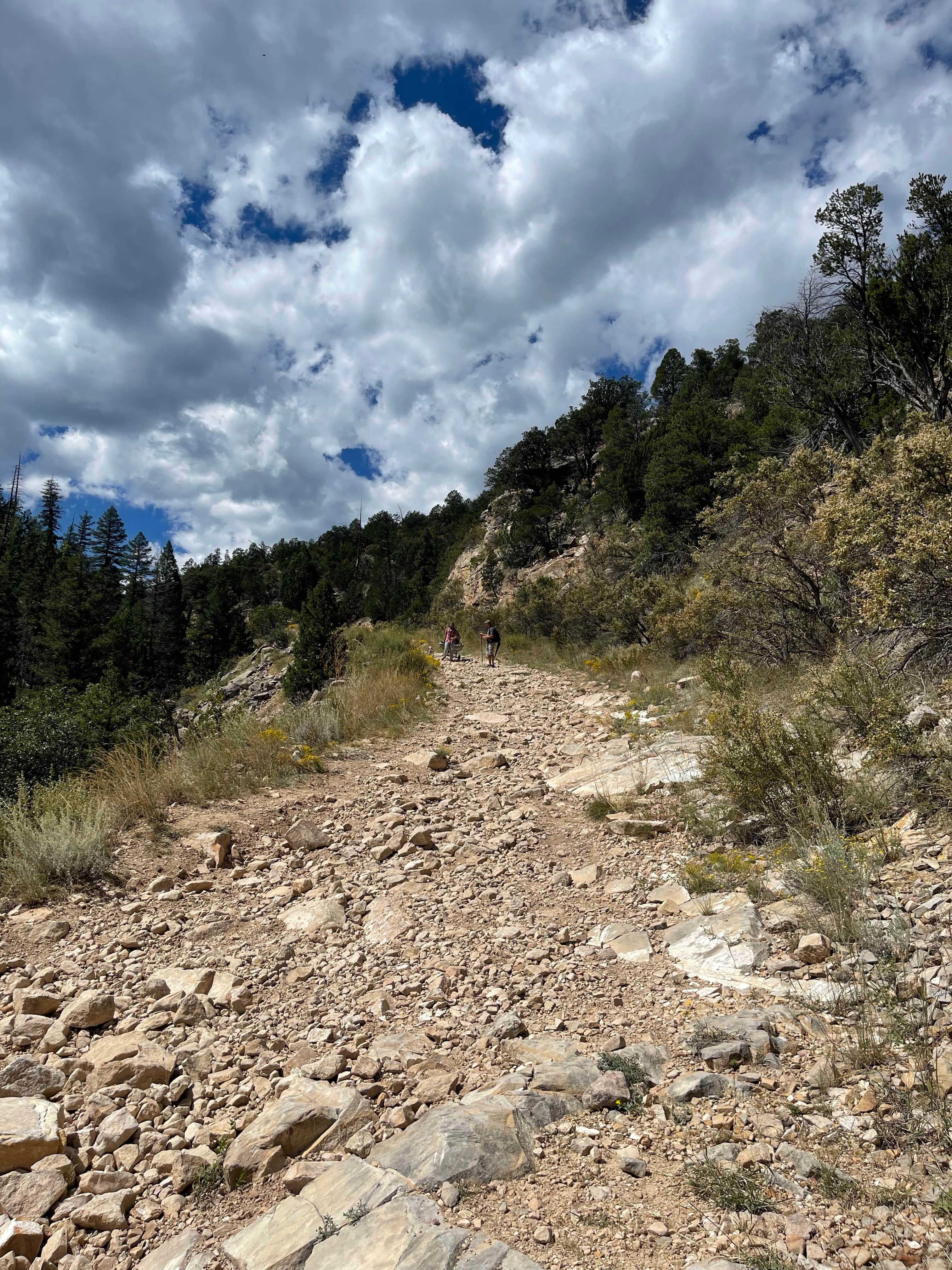 Camper submitted image from Chevelon Canyon Lake Campground - 2