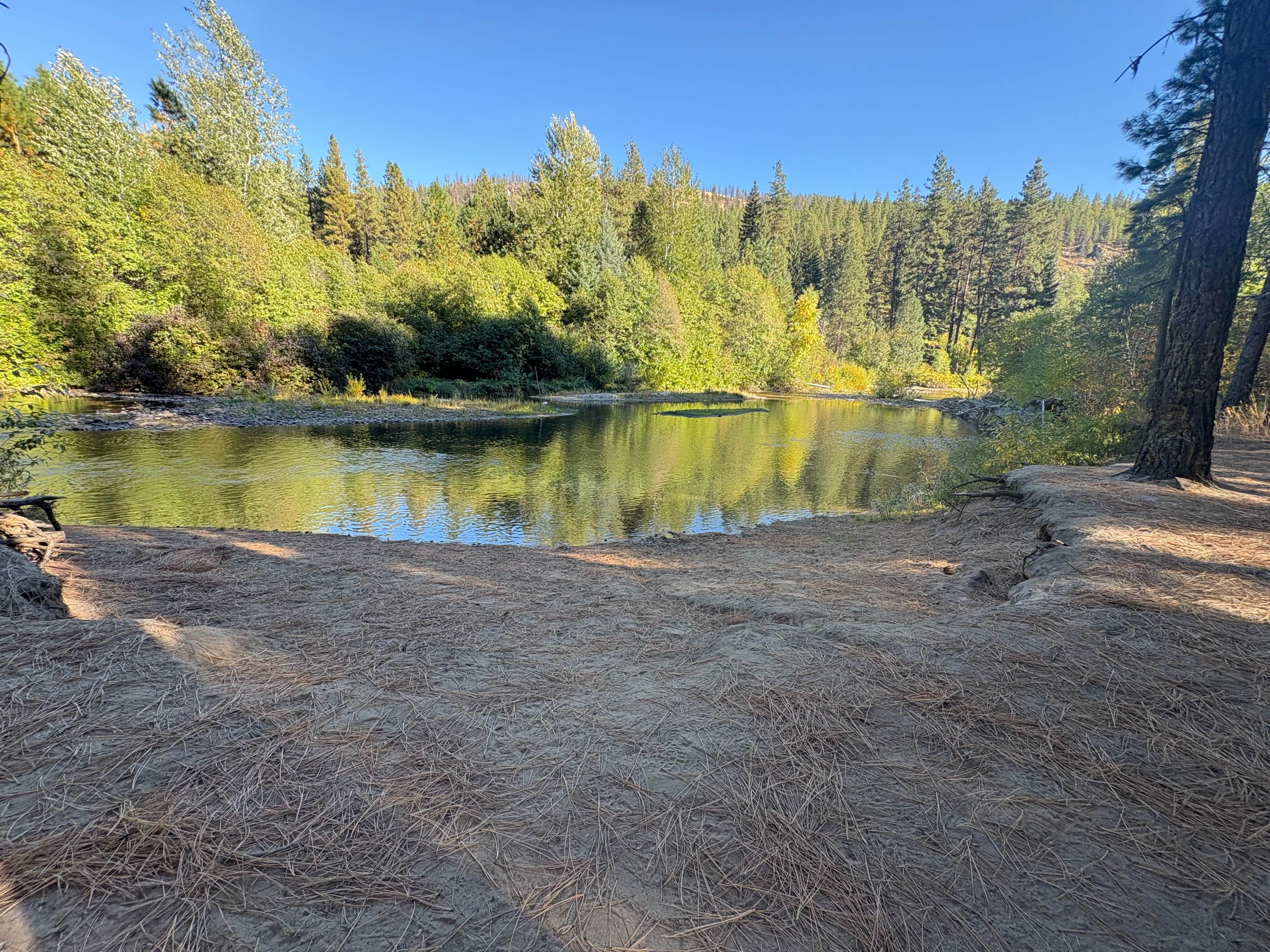 Sarah S.'s photo of a dispersed camping area at Chewuch River Camping near Lake Chelan National Recreation Area