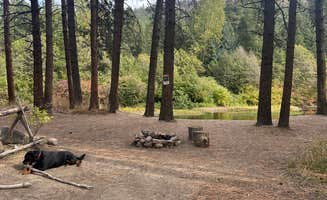 Teresa A.'s photo of camping with pets at Chewuch River Camping near Tonasket, WA