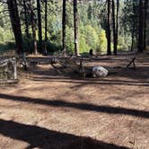 Review photo of Chewuch River Camping by Sarah S., October 7, 2025