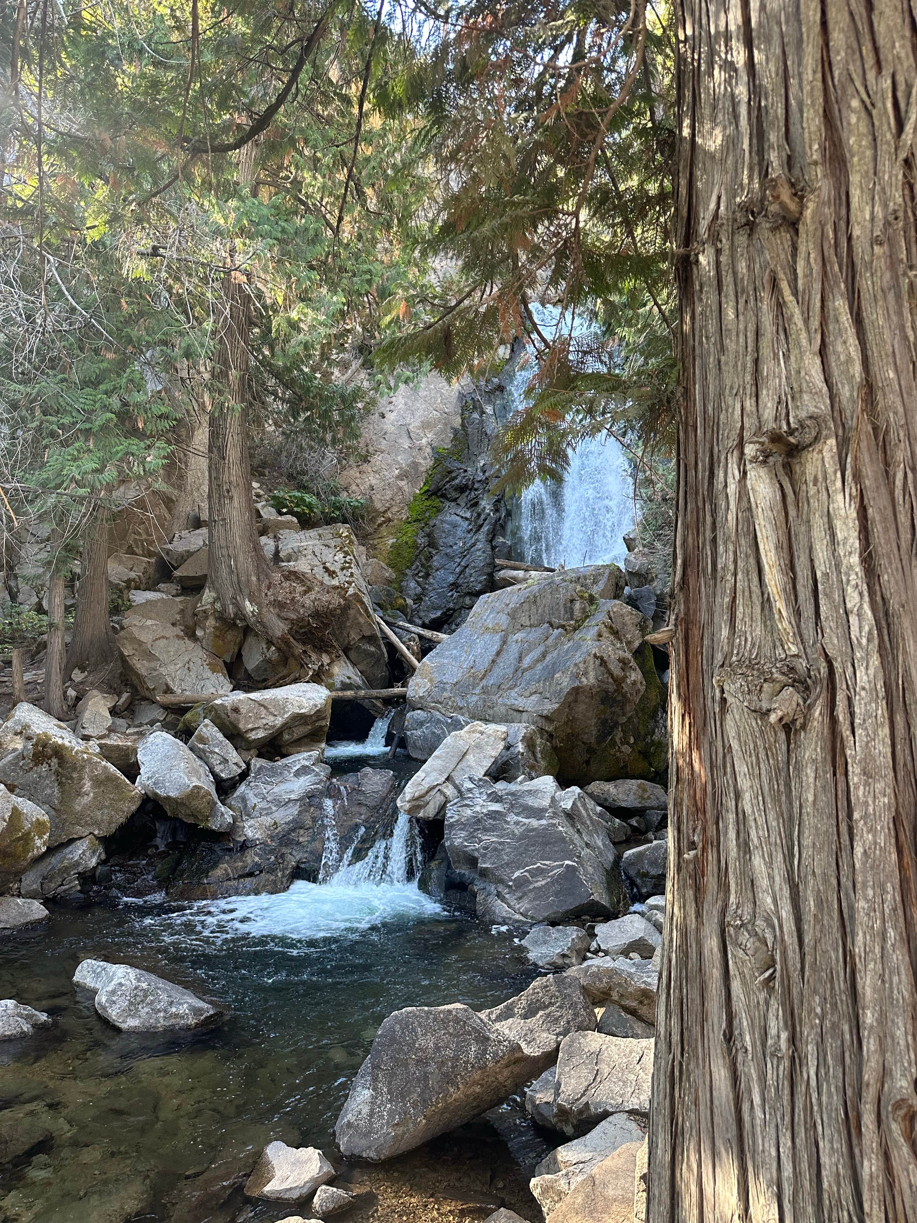 Camper-submitted photo at Chewuch River Camping near Methow, WA