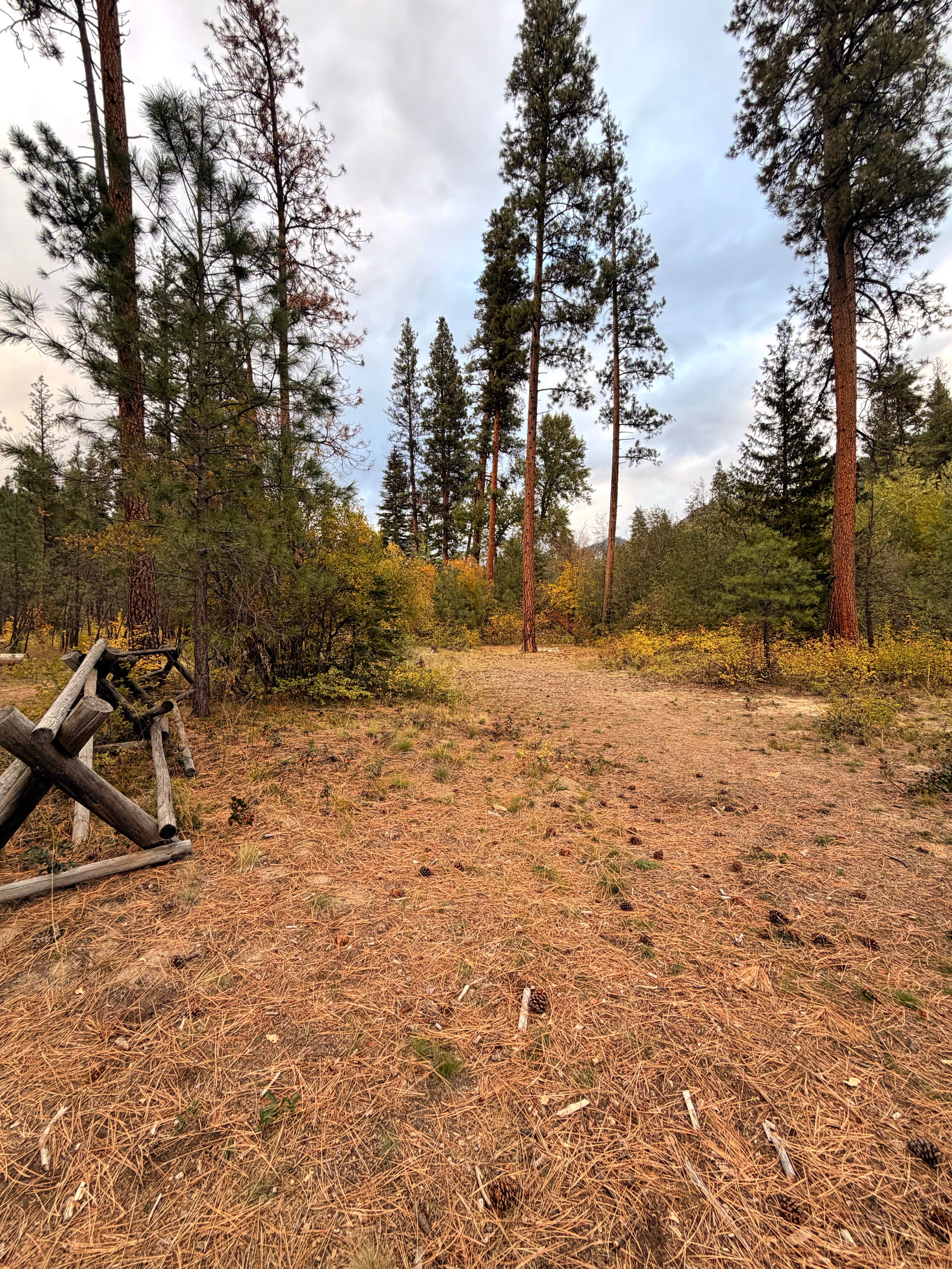 Camper-submitted photo at chewuch river FS 51 near Winthrop, WA