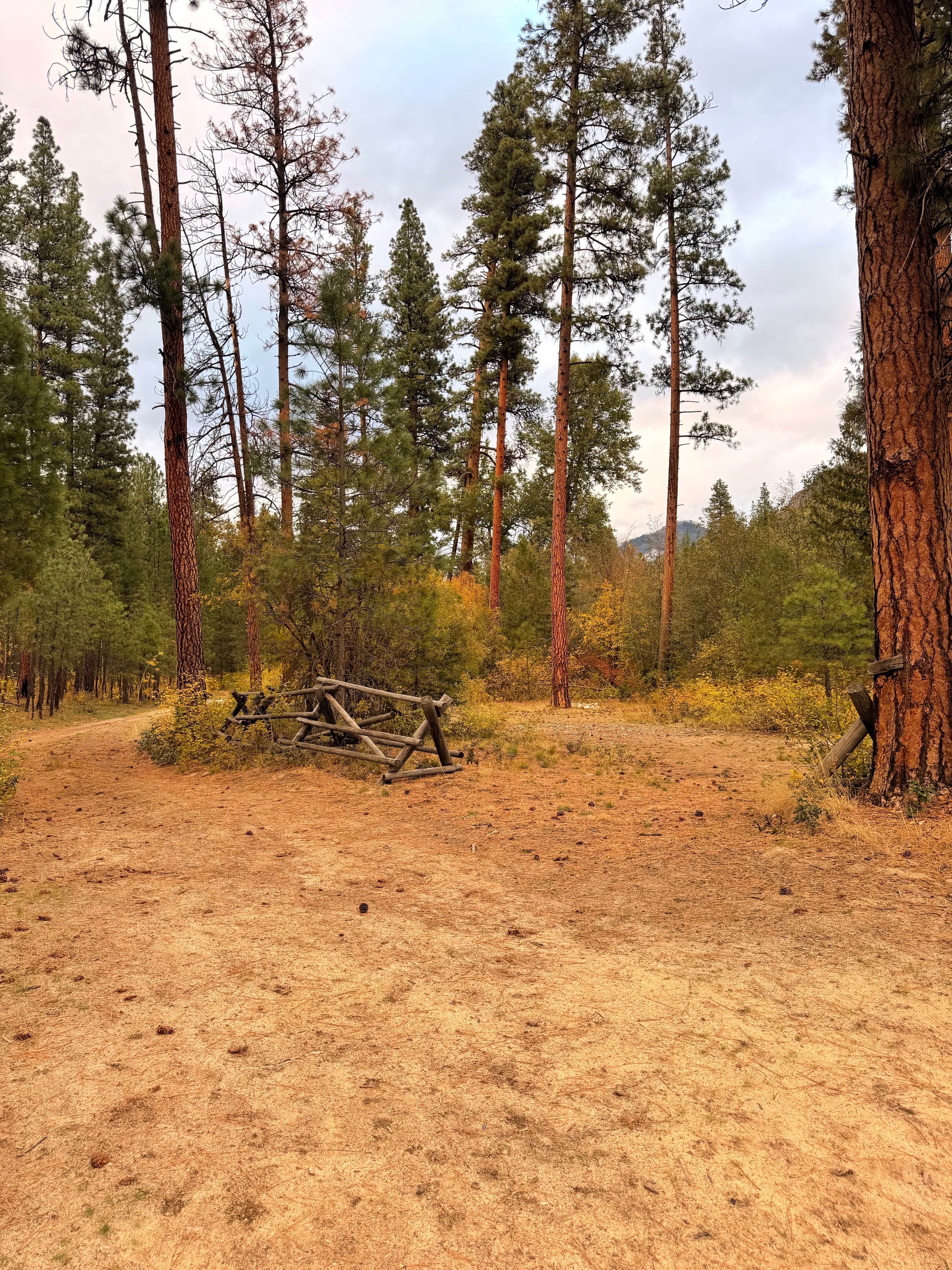 Camper-submitted photo at chewuch river FS 51 near Winthrop, WA