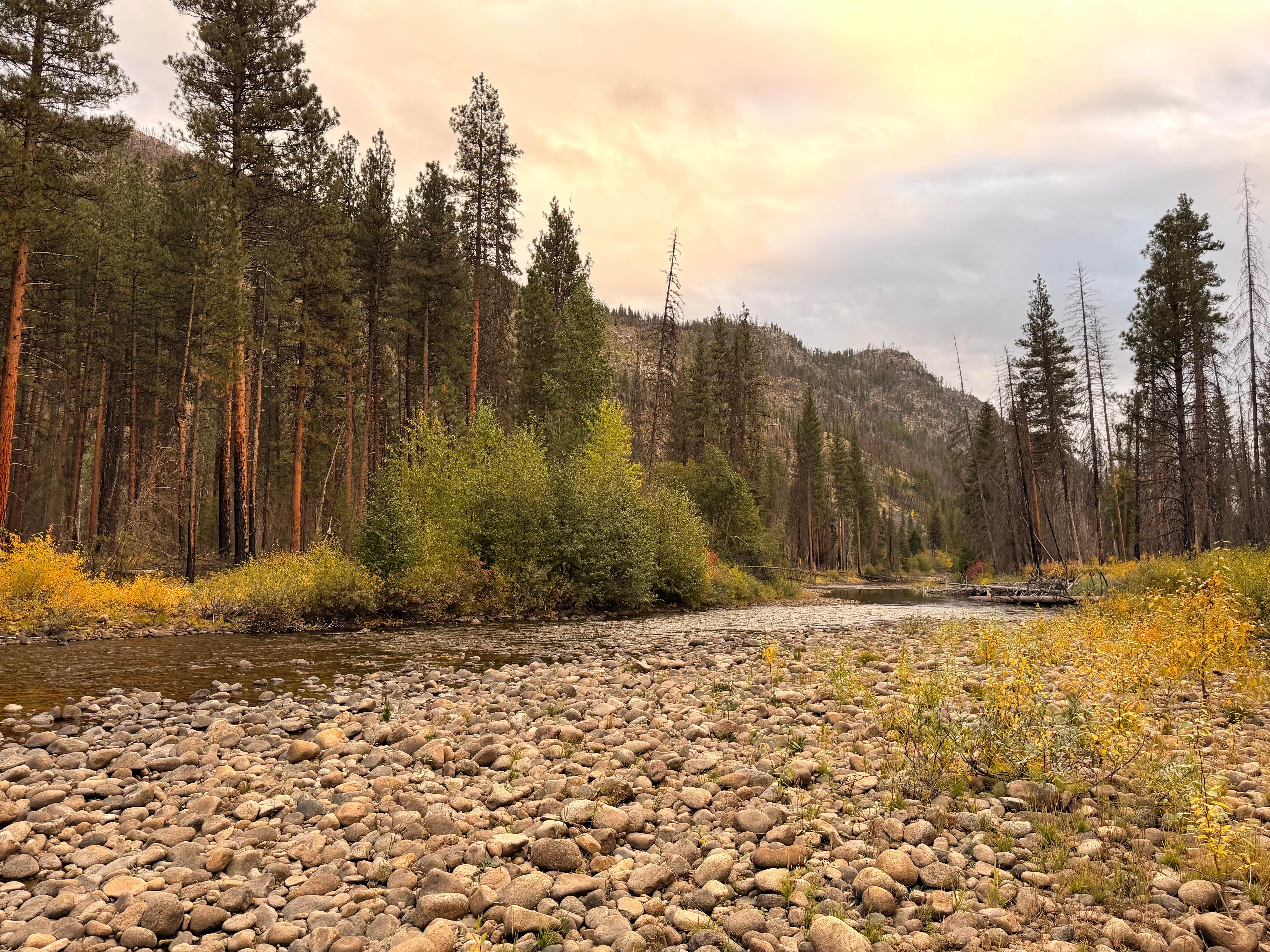 chewuch river FS 51