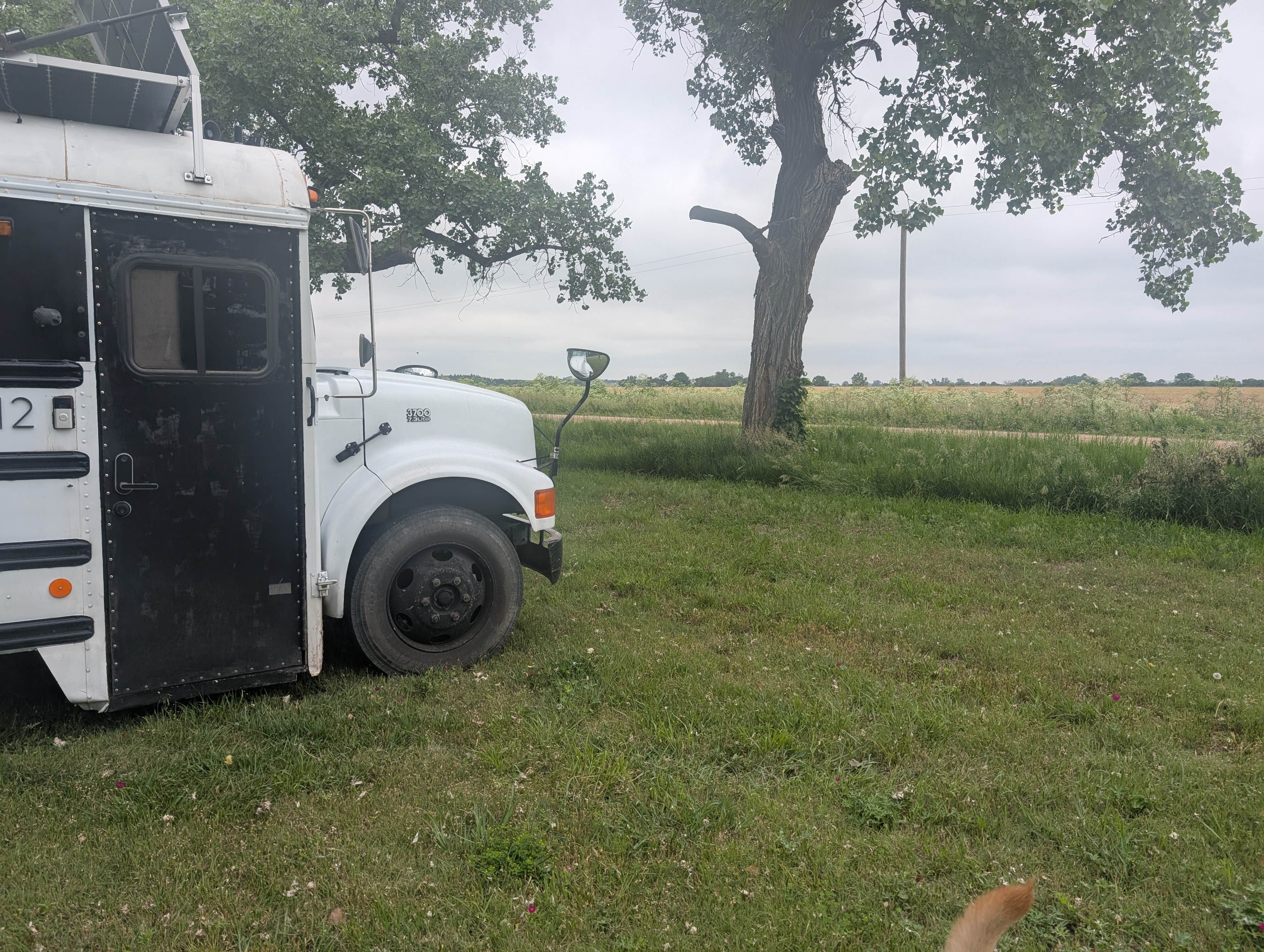 Camper-submitted photo at Cheyenne Bottoms Campground near Ellinwood, KS