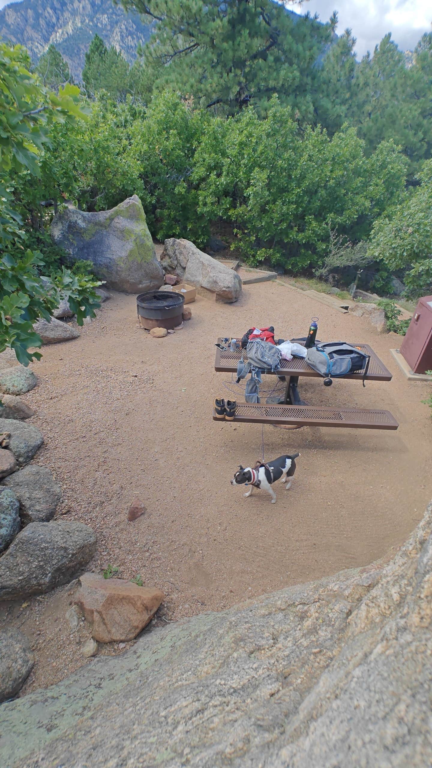 TEKn's photo of camping with pets at The Meadows Campground — Cheyenne Mountain State Park near Colorado Springs, CO