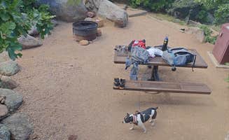 TEKn's photo of camping with pets at The Meadows Campground — Cheyenne Mountain State Park near Pueblo, CO