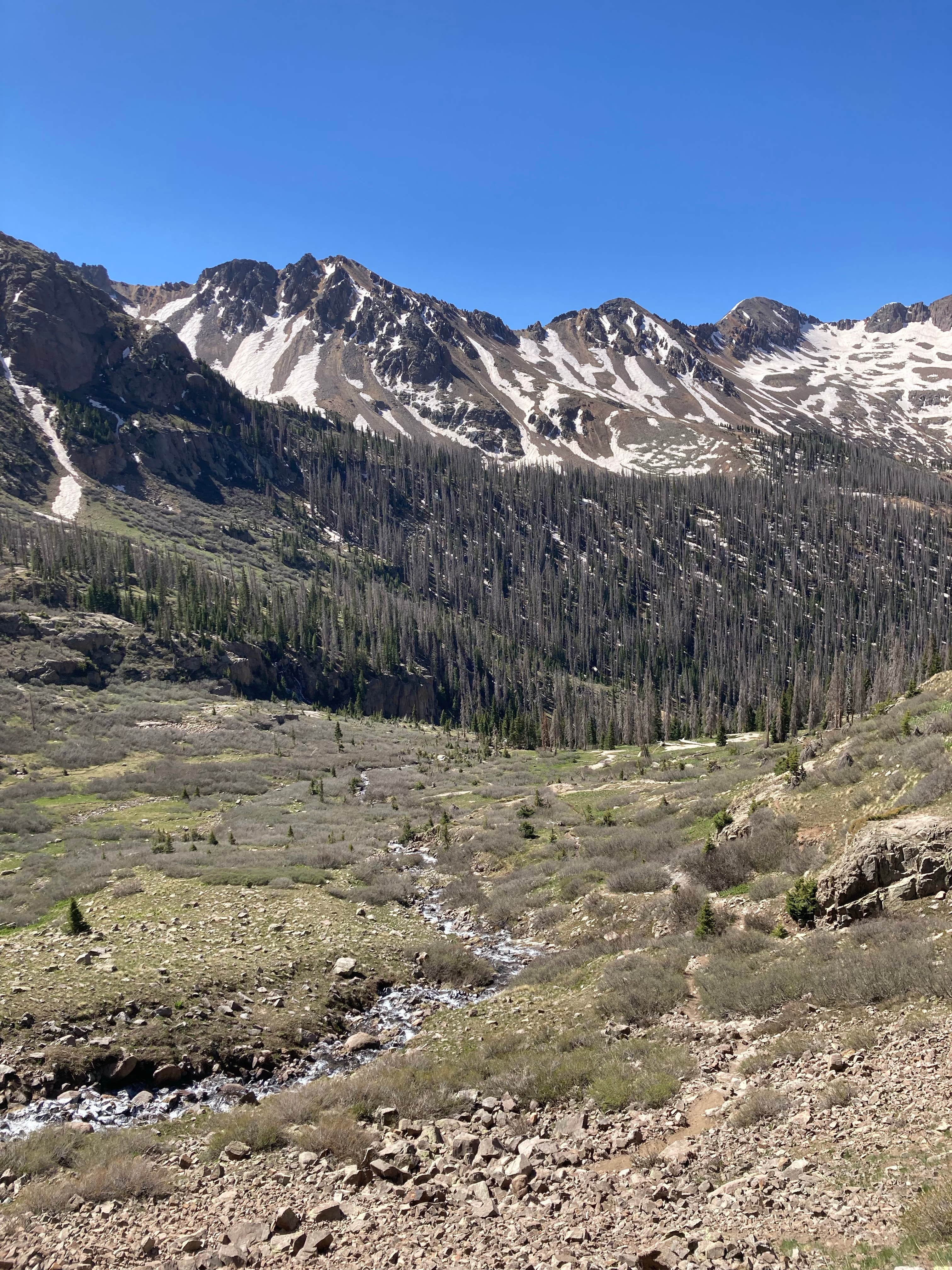Camper submitted image from Chicago Basin - 2