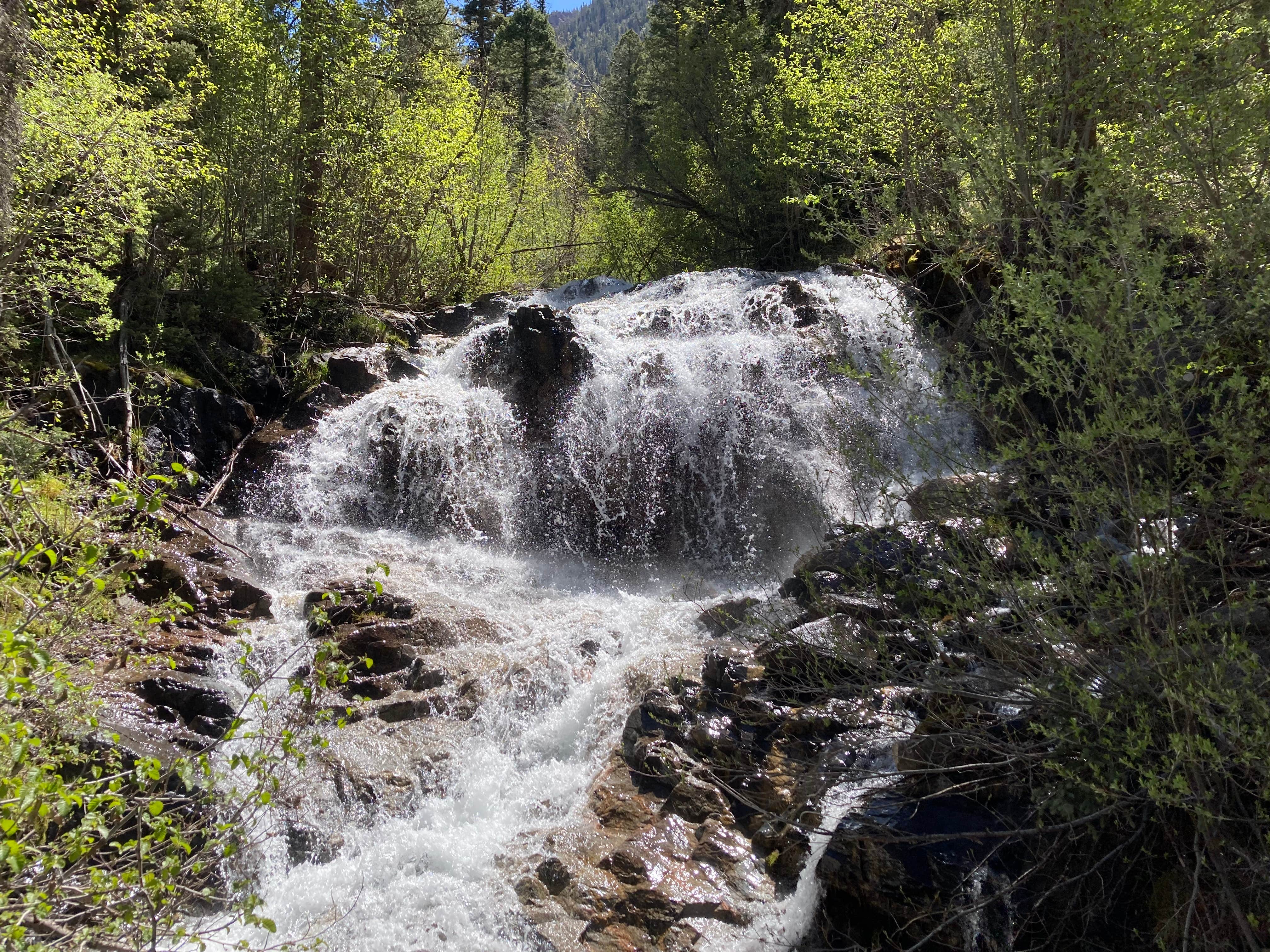 Camper-submitted photo at Chicago Basin near Bayfield, CO