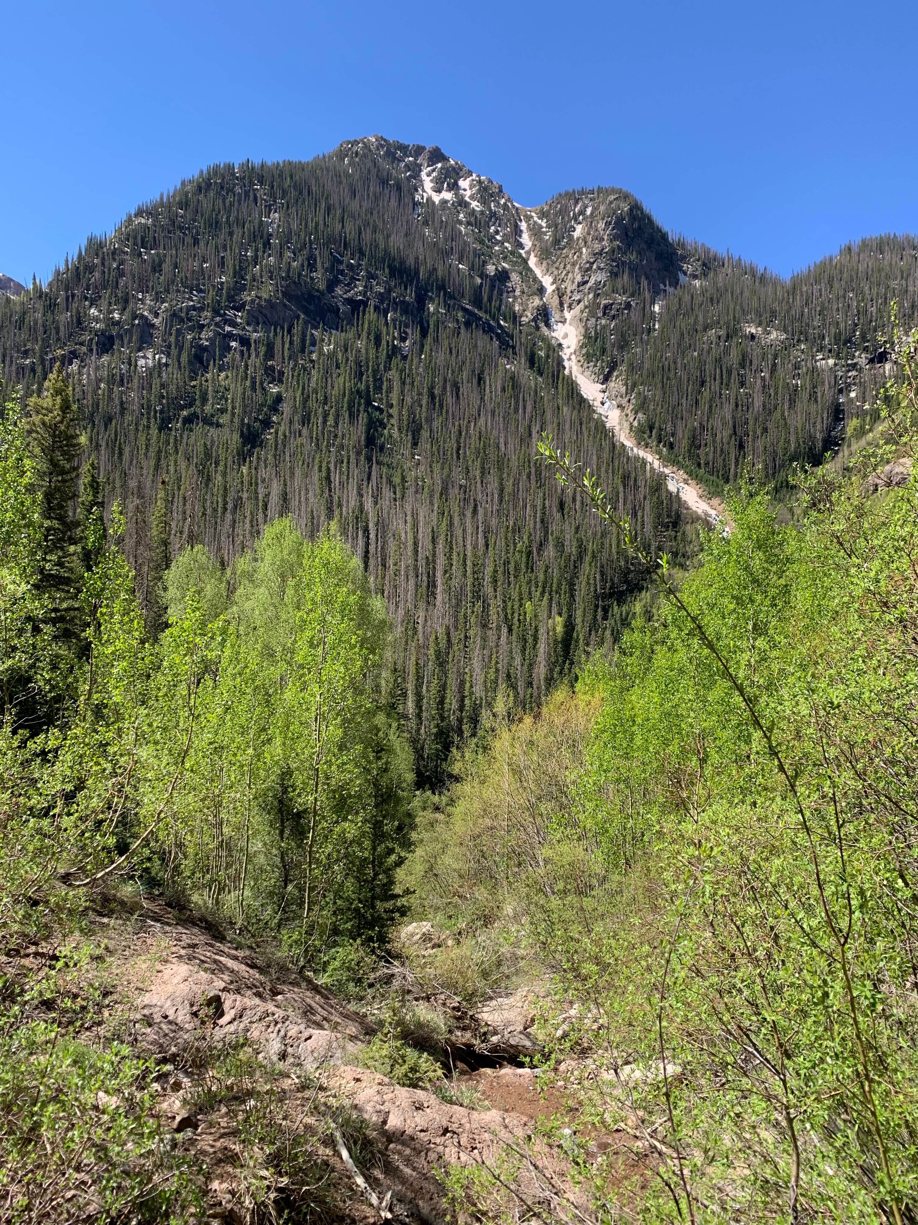 Camper-submitted photo at Chicago Basin near Bayfield, CO
