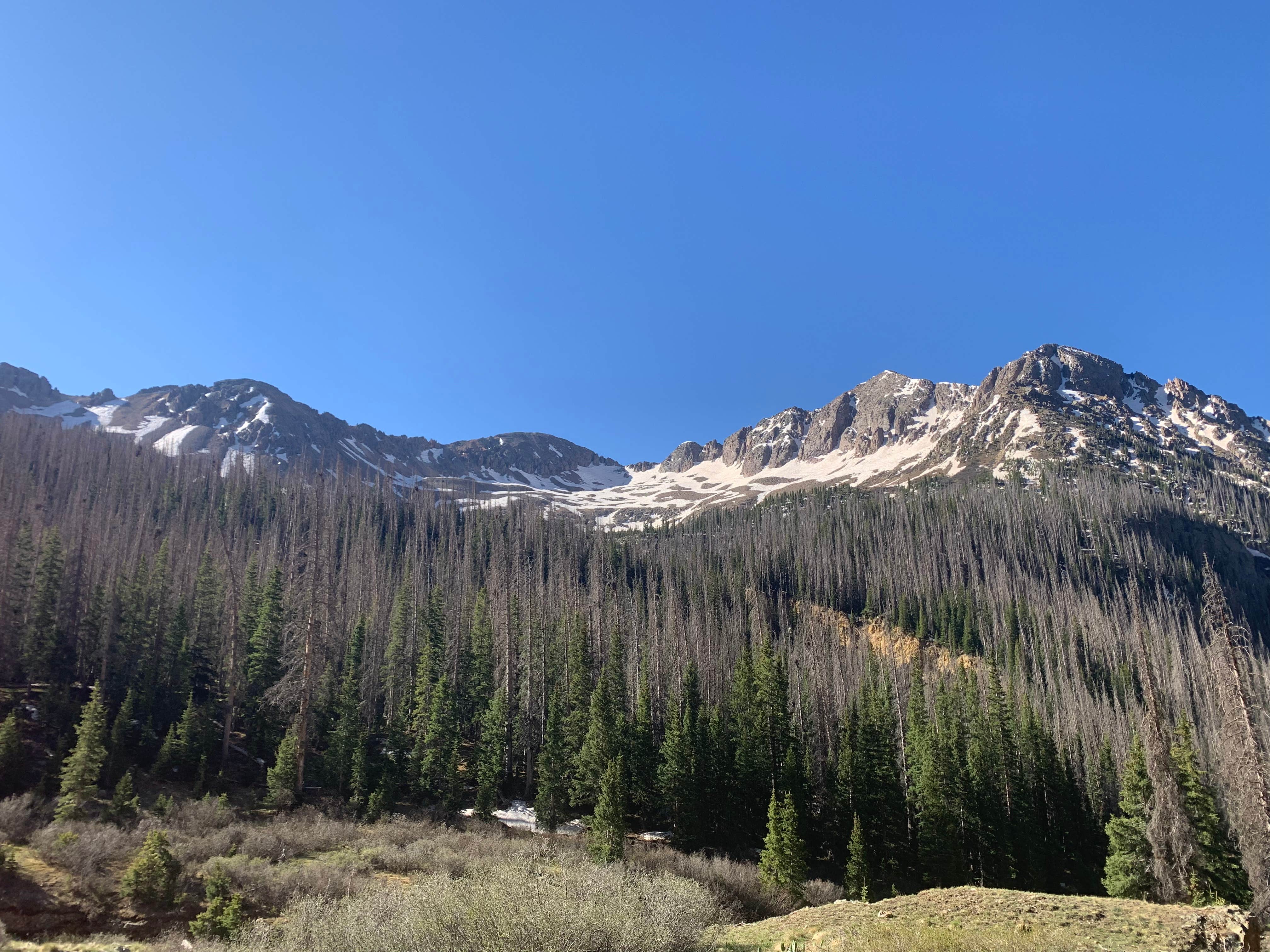 Camper submitted image from Chicago Basin - 1