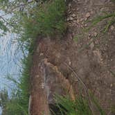 Review photo of Chickamauga Battlefield Group Campground — Chickamauga & Chattanooga National Military Park by Adela H., July 27, 2025
