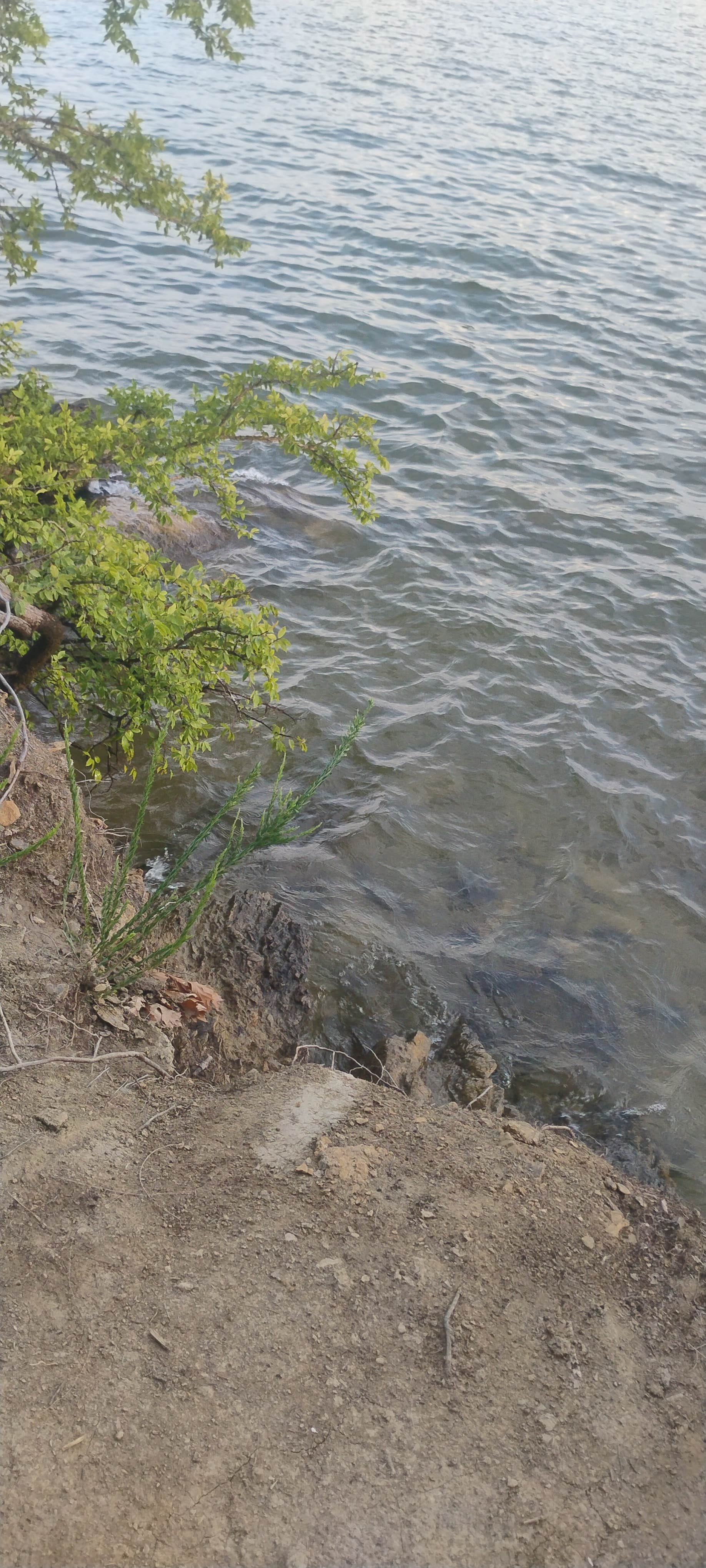 Camper-submitted photo at Chickamauga Battlefield Group Campground — Chickamauga & Chattanooga National Military Park near Signal Mountain, TN