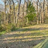 Review photo of Mini Egg farm primitive sites by Bryan M., March 21, 2024