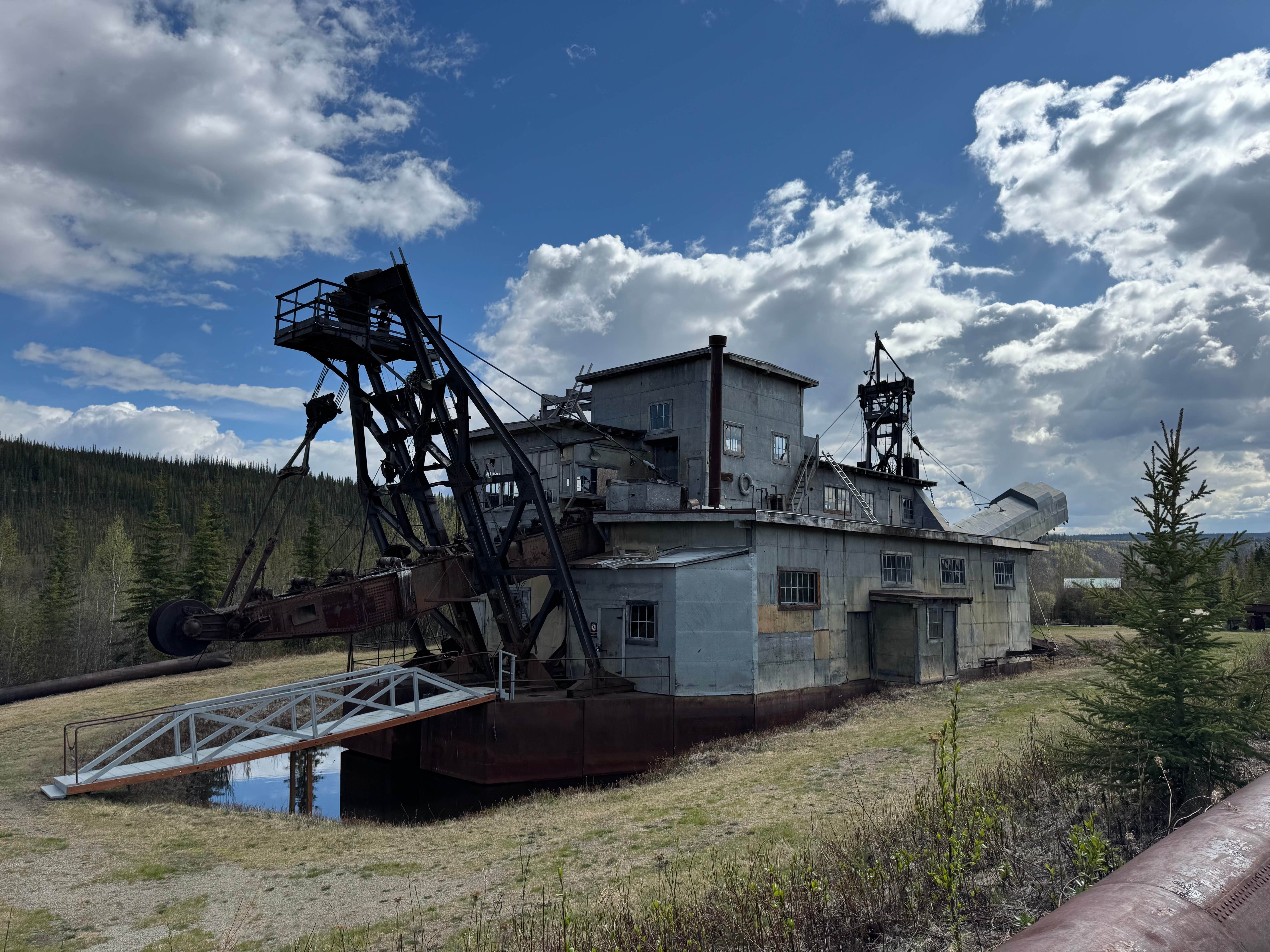 Camper submitted image from Chicken Gold Camp & Outpost - 3