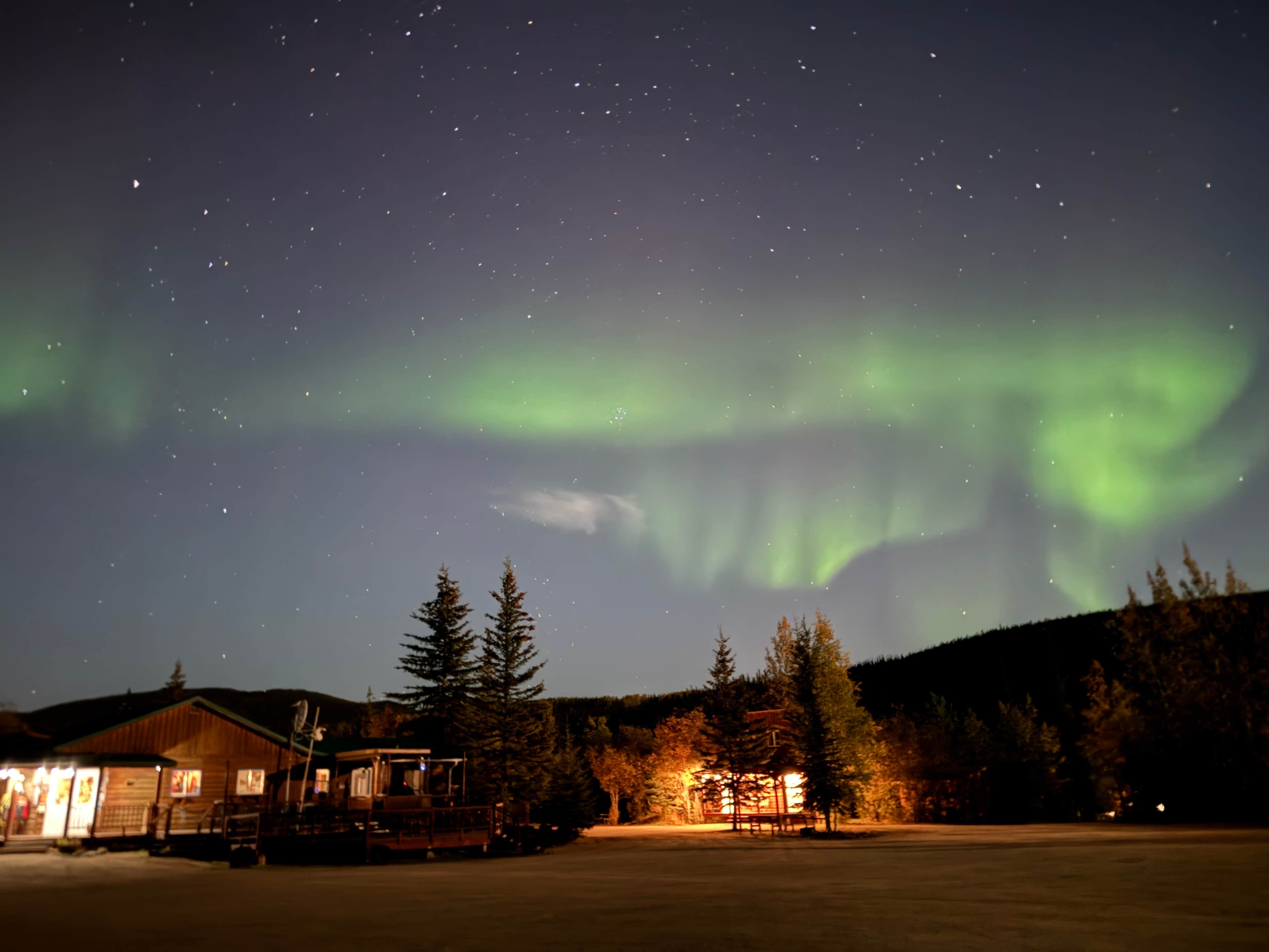 Camper submitted image from Chicken Gold Camp & Outpost - 2