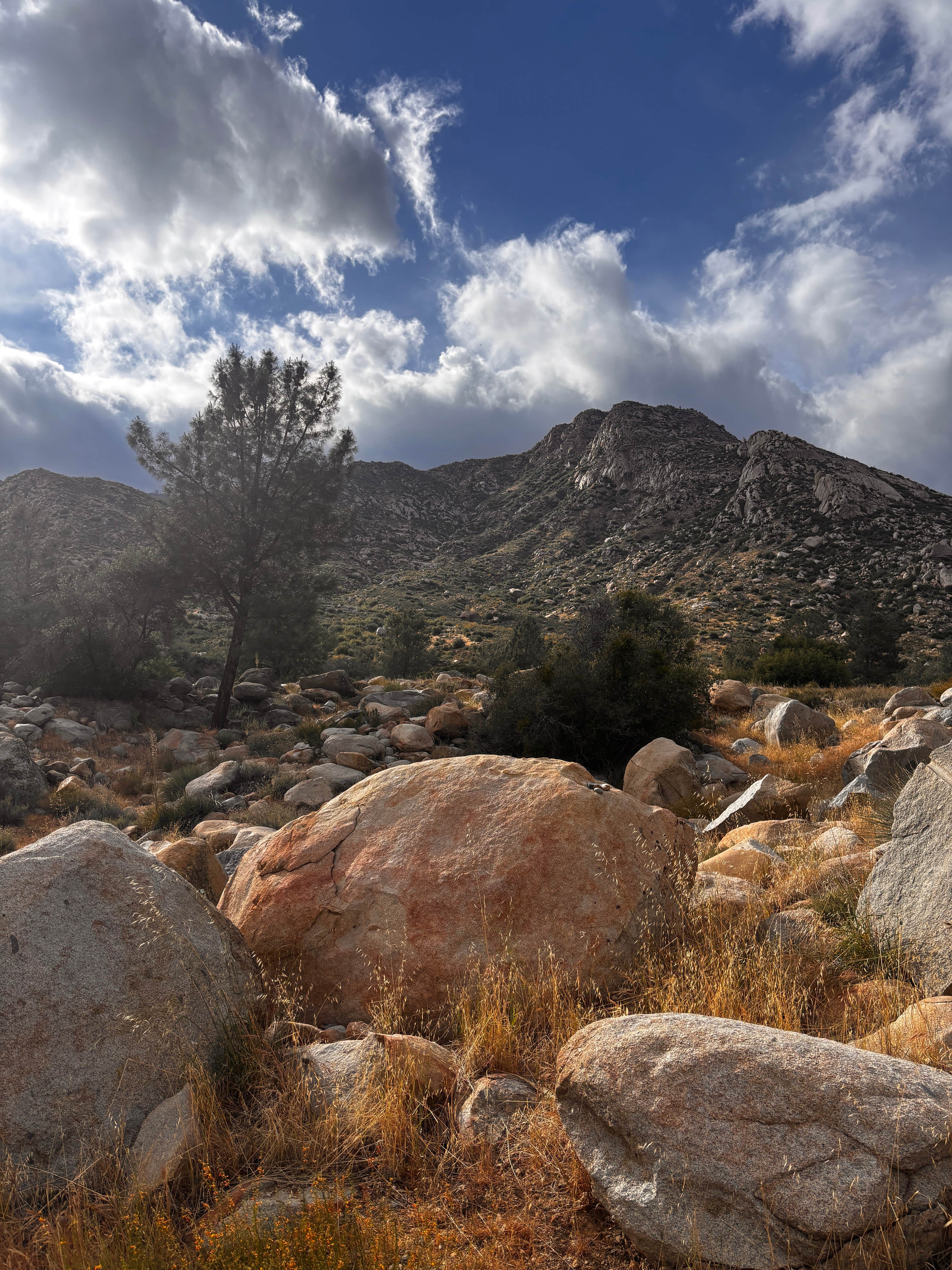 Chico Flat Dispersed Campground