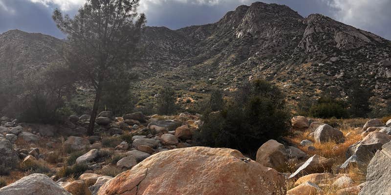 Camper submitted image from Chico Flat Dispersed Campground