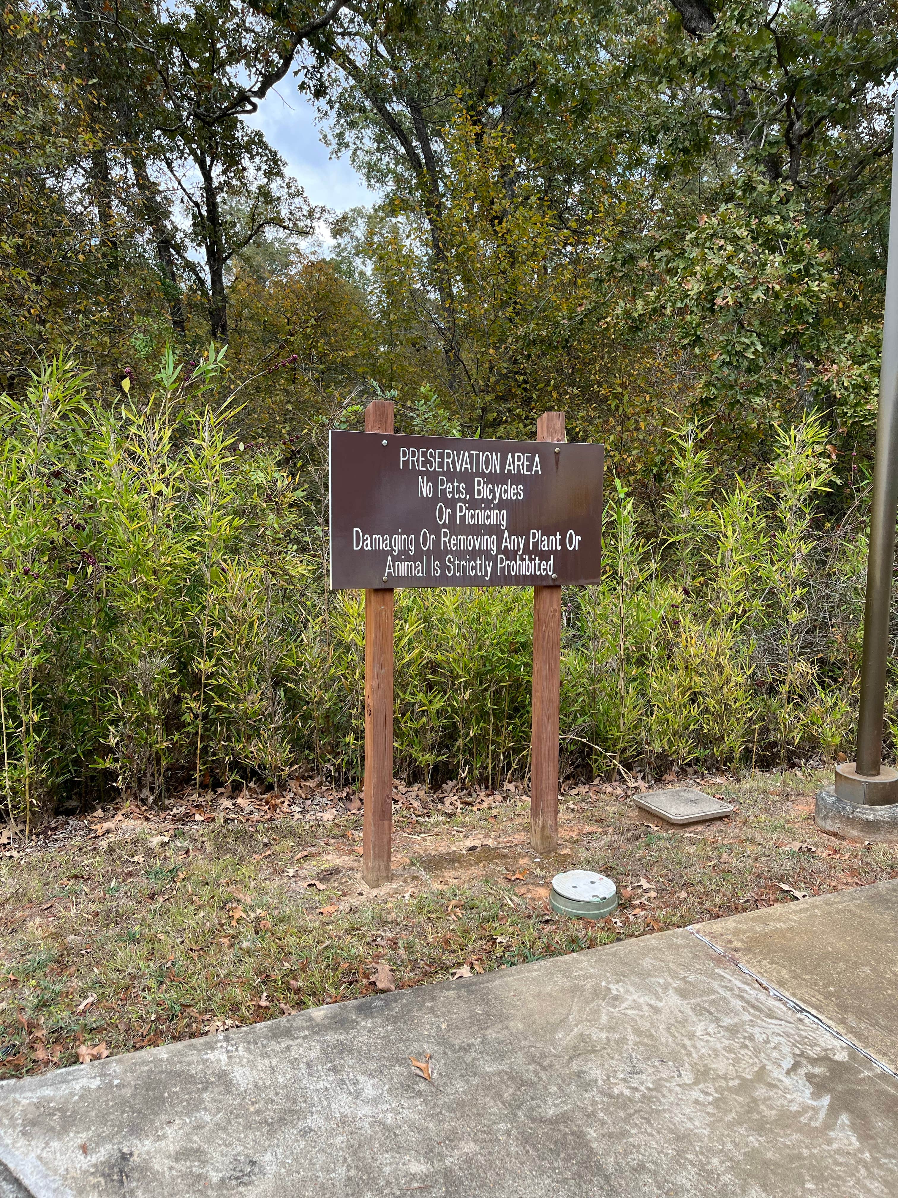 Signs & Maps