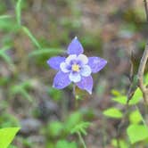 Review photo of Chief Hosa Campground by James W., July 15, 2024