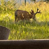 Review photo of Chief Hosa Campground by Lee D., July 8, 2025