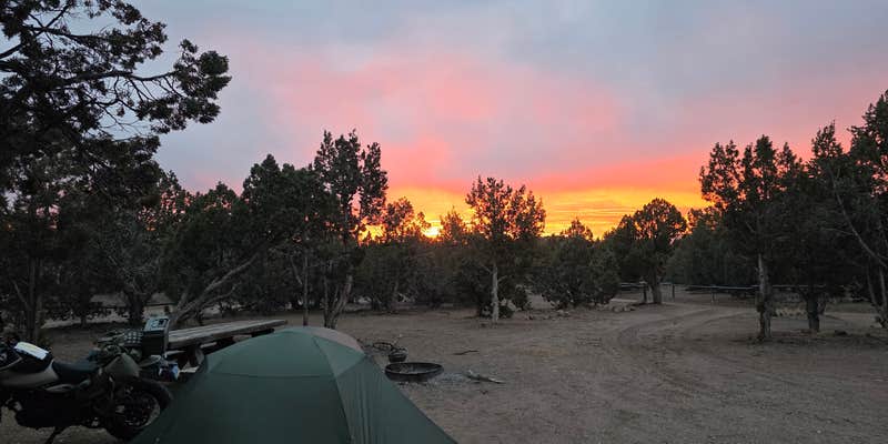 Camper submitted image from Chief Mountain South Campground