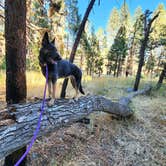 Review photo of Chilcoot Family Campground by Genevieve R., December 28, 2023