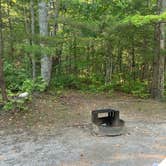 Review photo of Chilhowee by Amber C., August 27, 2025