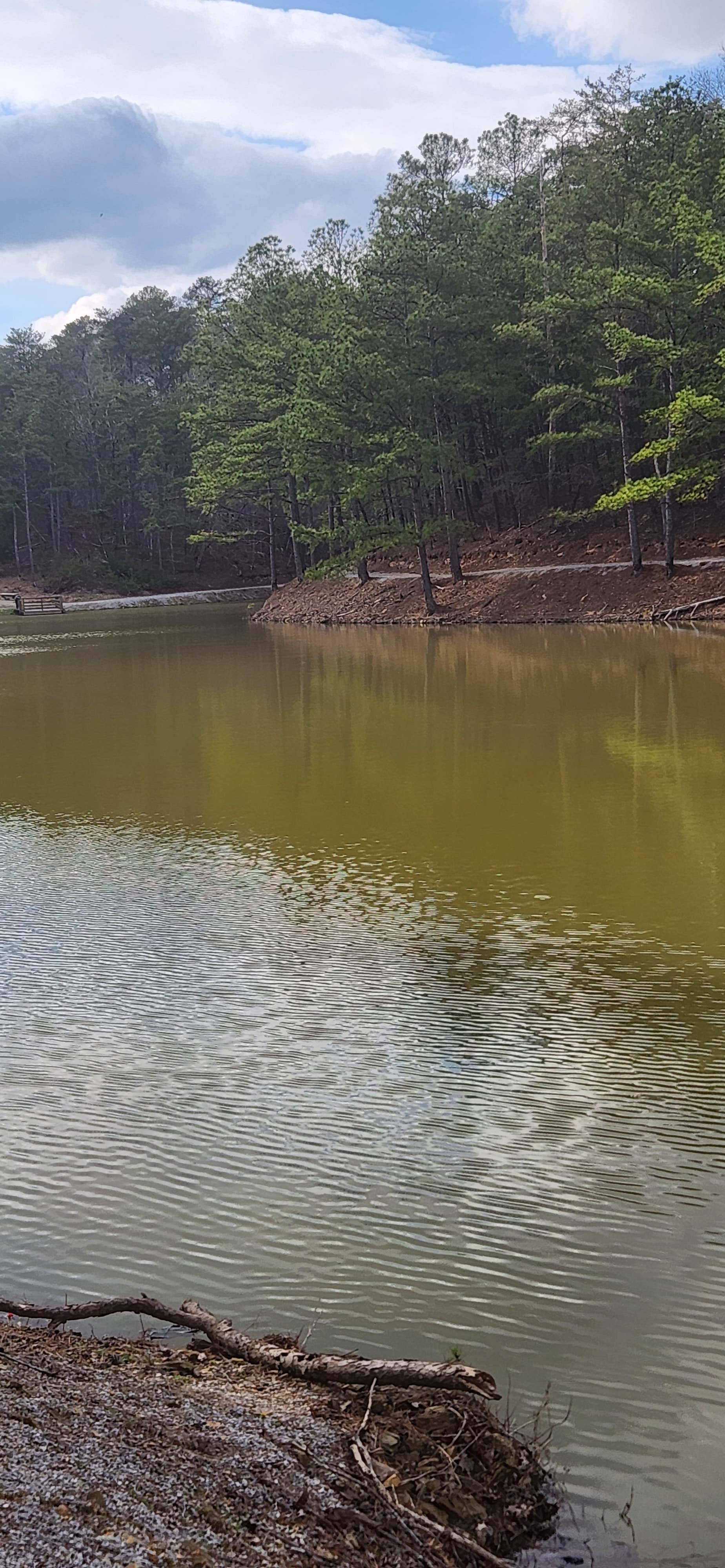 Camper-submitted photo at Chilton County Minooka Park near Montevallo, AL