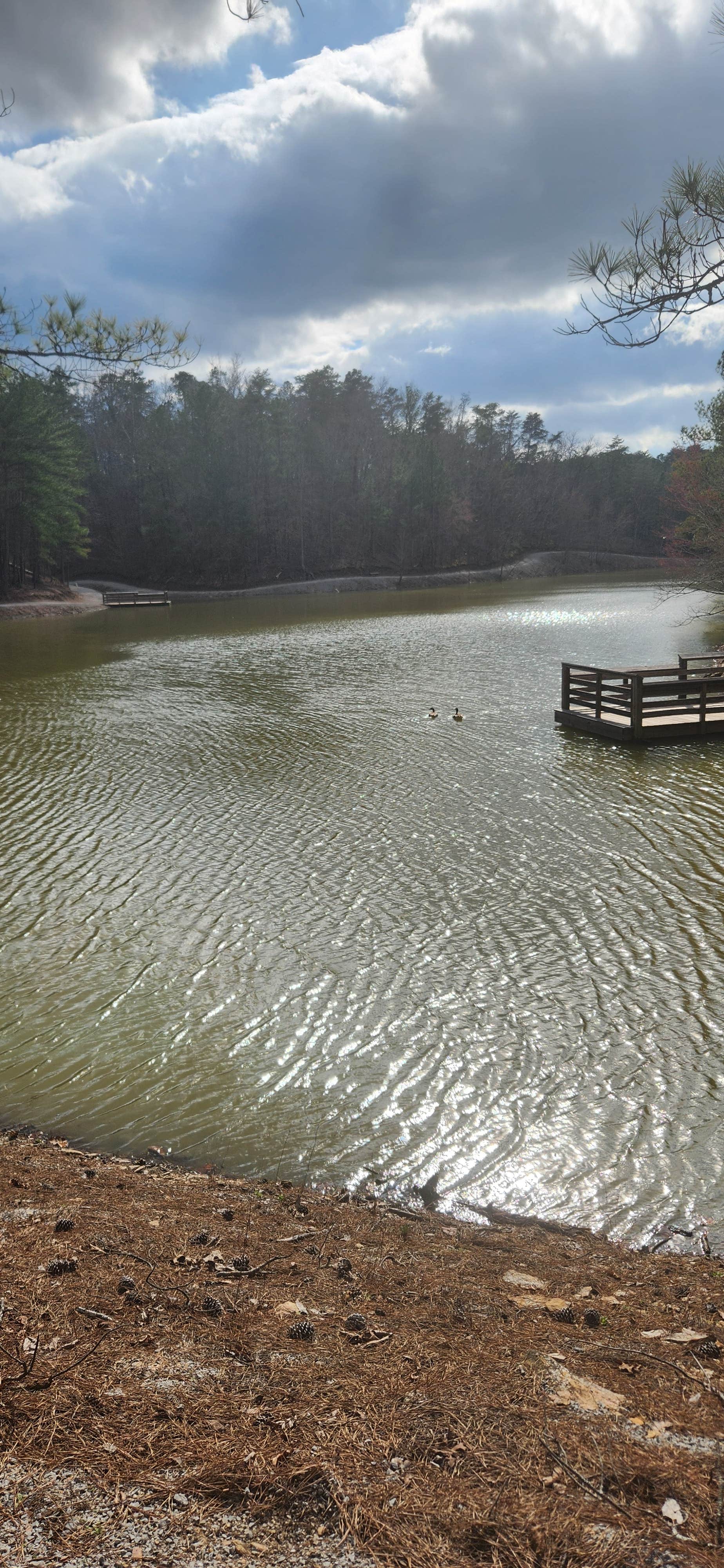 Camper-submitted photo at Chilton County Minooka Park near Montevallo, AL
