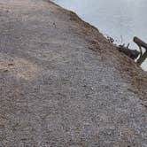 Review photo of Chilton County Minooka Park by Jeff M., March 4, 2026