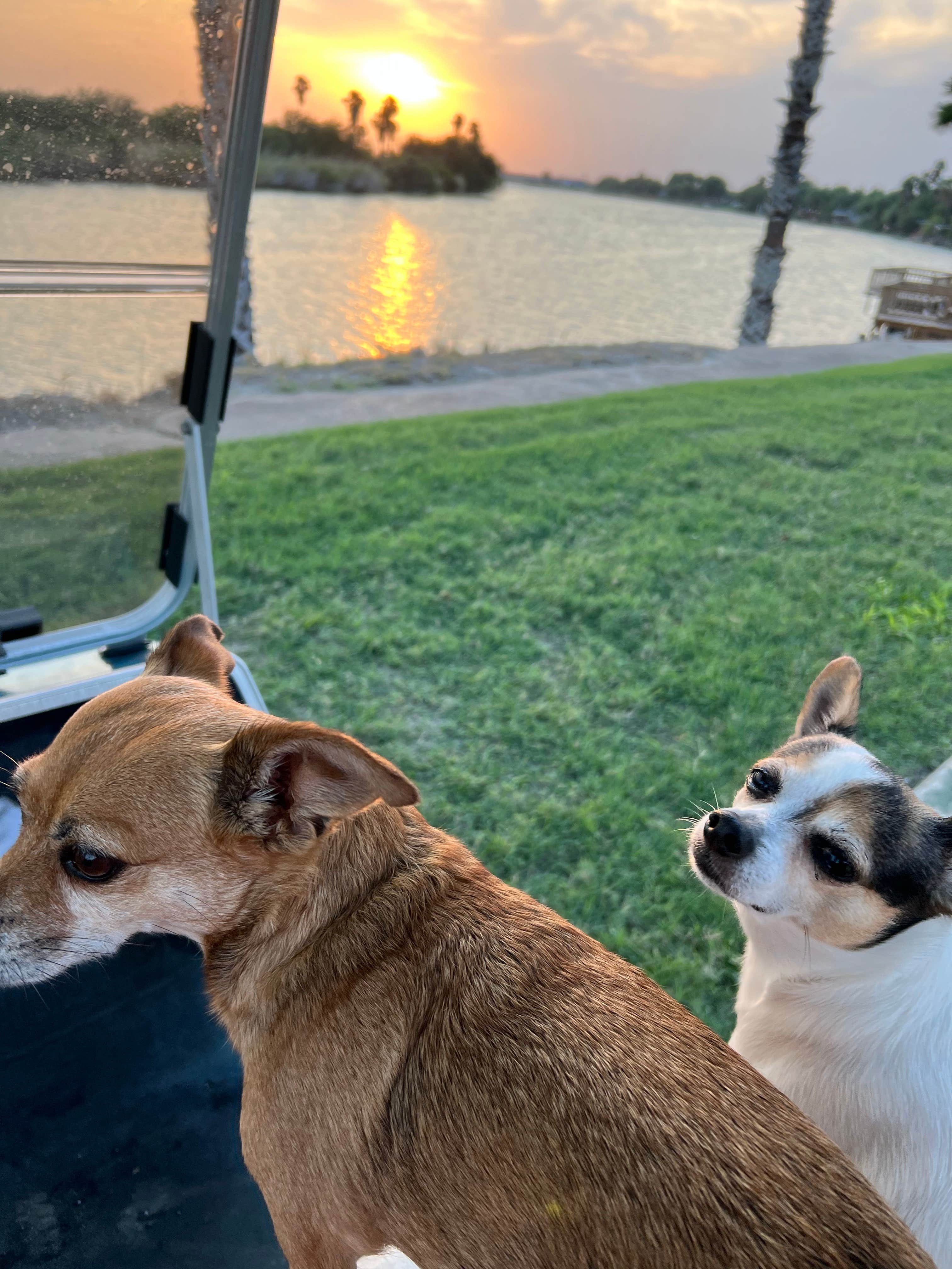 Camping near Split Rail RV Park & Resort 55+: Chimney Park RV Resort On The Rio Grande, Mission, Texas